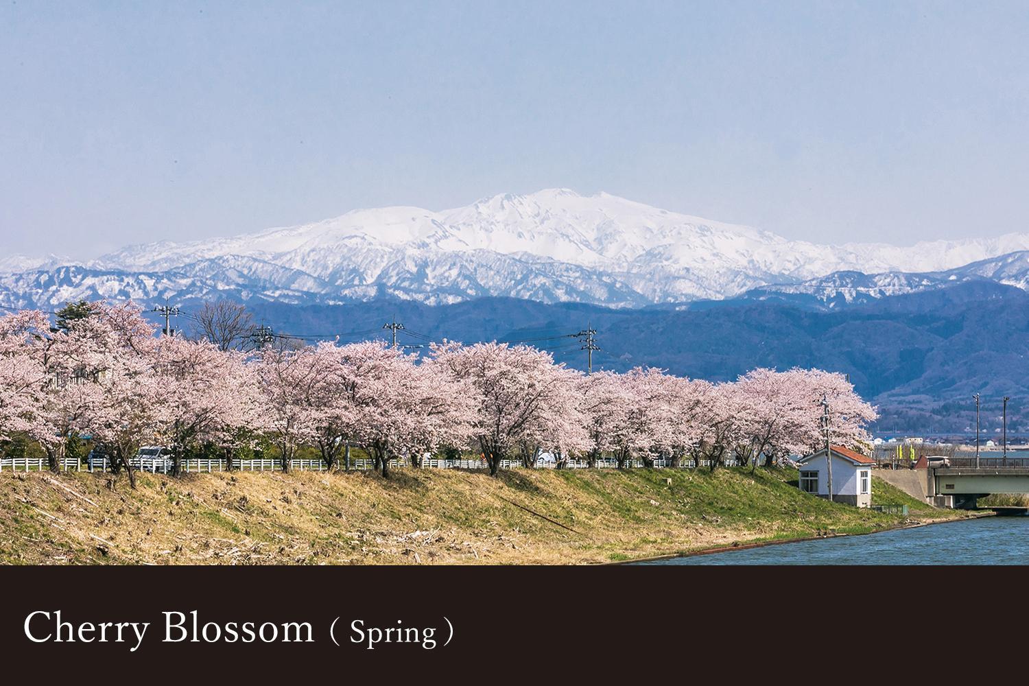 ホテル 山中温泉 吉祥やまなか 加賀市 エクステリア 写真